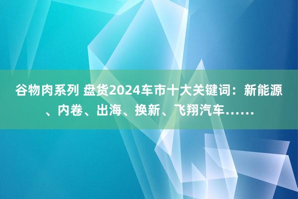 谷物肉系列 盘货2024车市十大关键词：新能源、内卷、出海、换新、飞翔汽车……