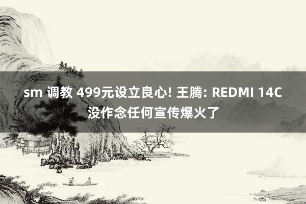 sm 调教 499元设立良心! 王腾: REDMI 14C没作念任何宣传爆火了