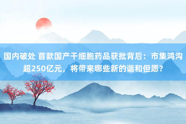 国内破处 首款国产干细胞药品获批背后：市集鸿沟超250亿元，将带来哪些新的谐和但愿？