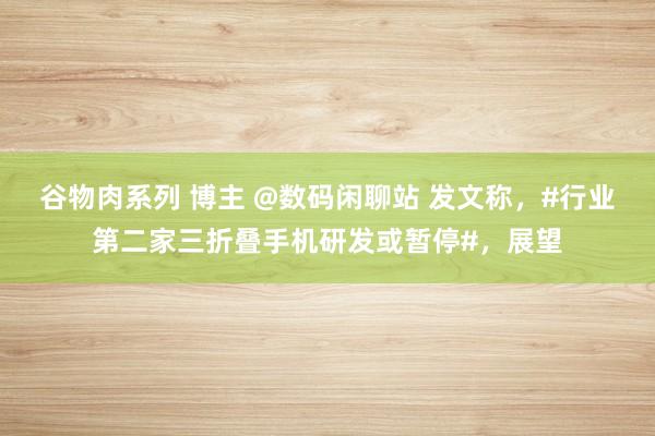 谷物肉系列 博主 @数码闲聊站 发文称，#行业第二家三折叠手机研发或暂停#，展望