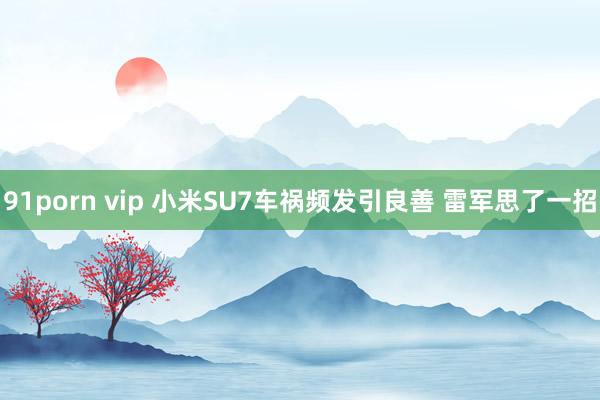 91porn vip 小米SU7车祸频发引良善 雷军思了一招