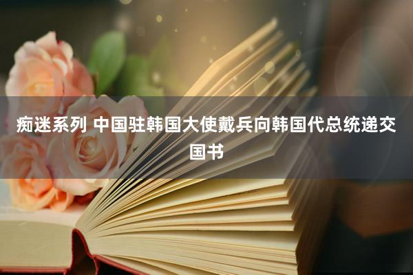 痴迷系列 中国驻韩国大使戴兵向韩国代总统递交国书