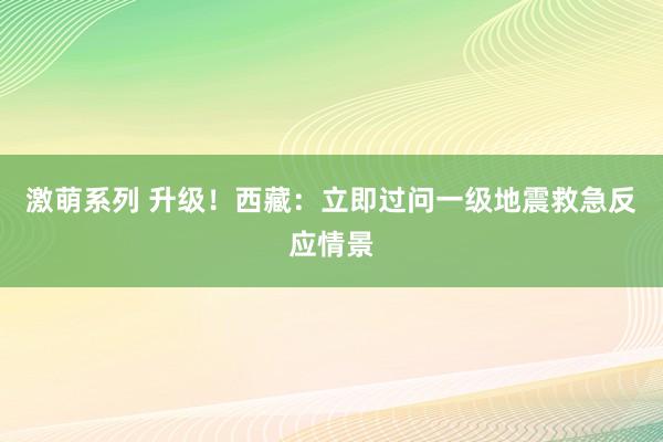 激萌系列 升级！西藏：立即过问一级地震救急反应情景