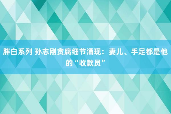 胖白系列 孙志刚贪腐细节涌现：妻儿、手足都是他的“收款员”