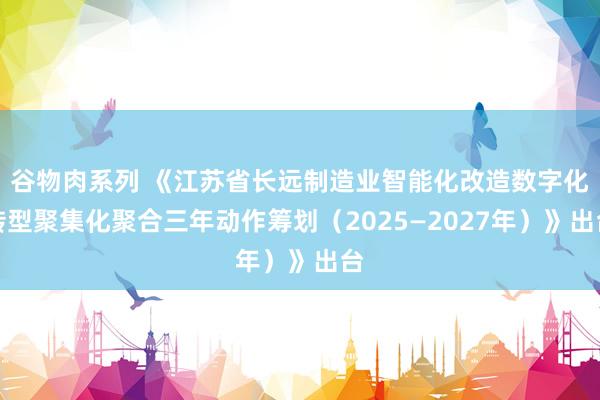 谷物肉系列 《江苏省长远制造业智能化改造数字化转型聚集化聚合三年动作筹划（2025—2027年）》出台