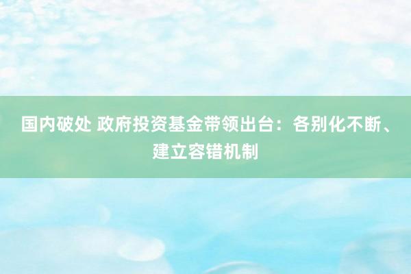 国内破处 政府投资基金带领出台：各别化不断、建立容错机制