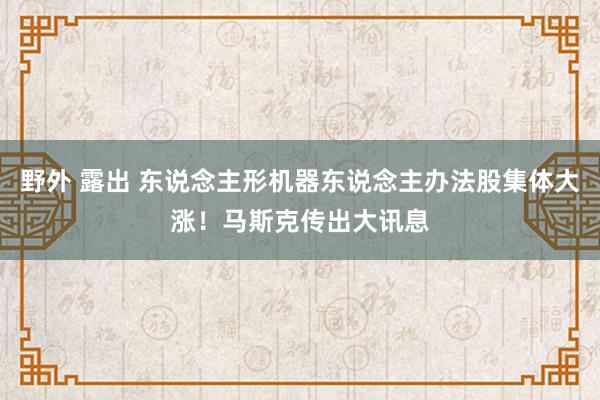 野外 露出 东说念主形机器东说念主办法股集体大涨！马斯克传出大讯息