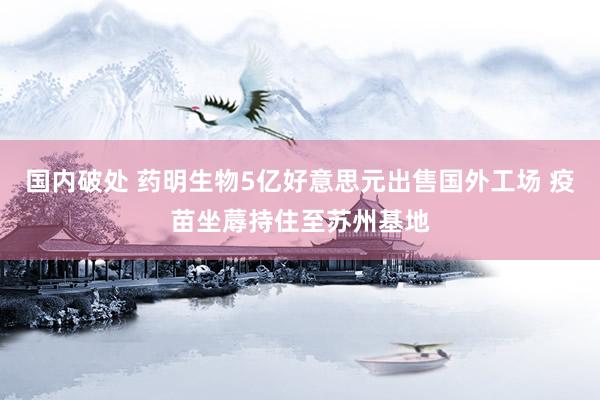 国内破处 药明生物5亿好意思元出售国外工场 疫苗坐蓐持住至苏州基地