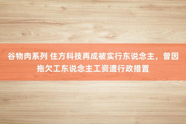 谷物肉系列 住方科技再成被实行东说念主，曾因拖欠工东说念主工资遭行政措置