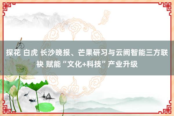 探花 白虎 长沙晚报、芒果研习与云阙智能三方联袂 赋能“文化+科技”产业升级