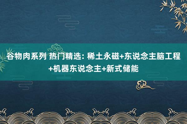 谷物肉系列 热门精选: 稀土永磁+东说念主脑工程+机器东说念主+新式储能