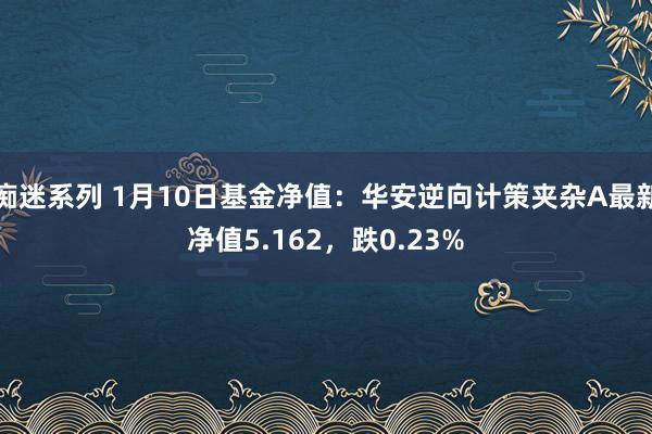 痴迷系列 1月10日基金净值：华安逆向计策夹杂A最新净值5.162，跌0.23%