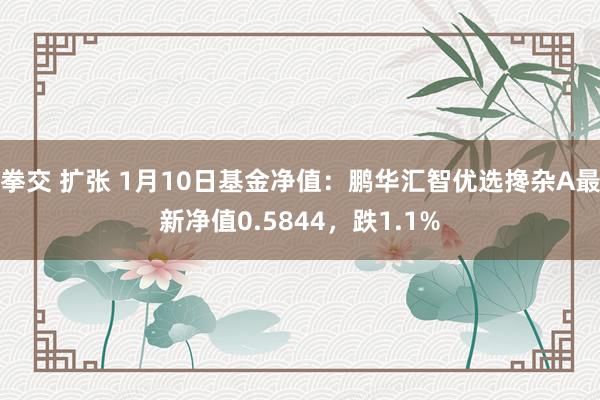 拳交 扩张 1月10日基金净值：鹏华汇智优选搀杂A最新净值0.5844，跌1.1%