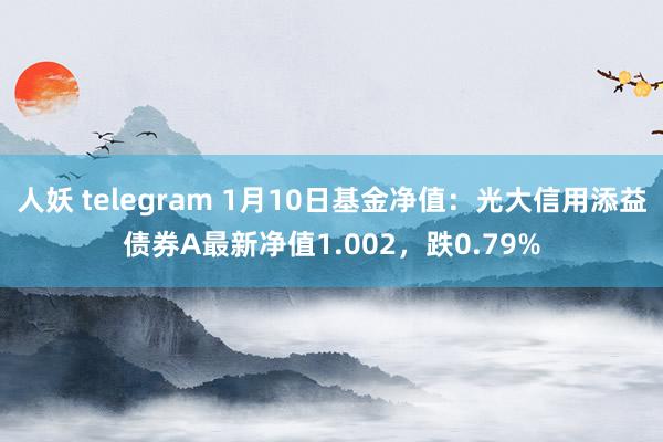 人妖 telegram 1月10日基金净值：光大信用添益债券A最新净值1.002，跌0.79%