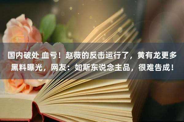 国内破处 血亏！赵薇的反击运行了，黄有龙更多黑料曝光，网友：如斯东说念主品，很难告成！