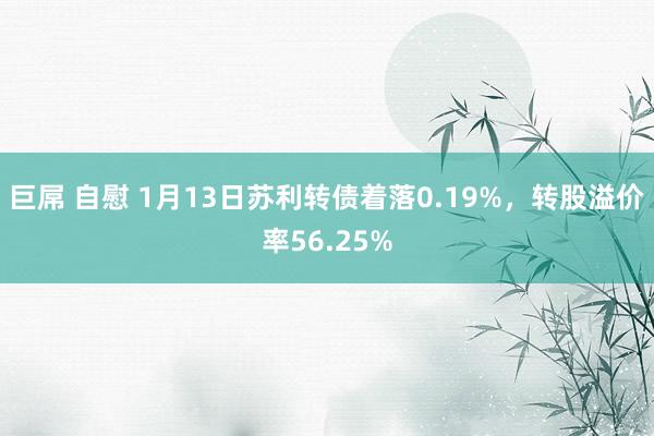 巨屌 自慰 1月13日苏利转债着落0.19%，转股溢价率56.25%