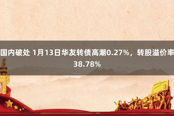 国内破处 1月13日华友转债高潮0.27%，转股溢价率38.78%