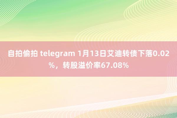 自拍偷拍 telegram 1月13日艾迪转债下落0.02%，转股溢价率67.08%