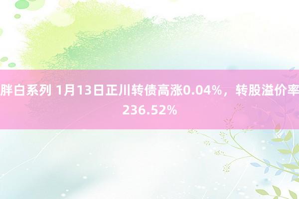 胖白系列 1月13日正川转债高涨0.04%，转股溢价率236.52%