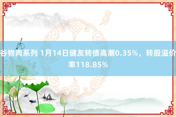 谷物肉系列 1月14日健友转债高潮0.35%，转股溢价率118.85%