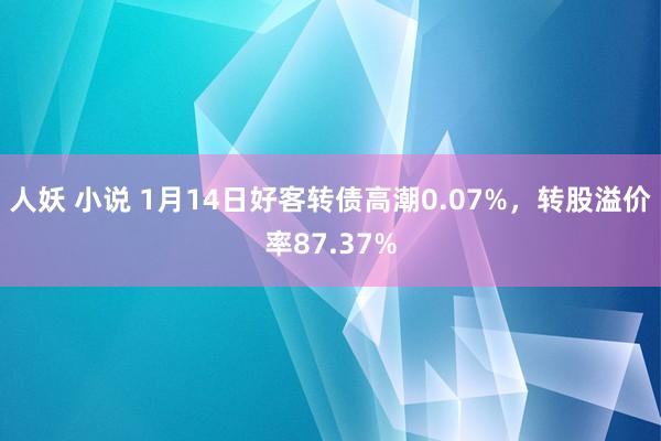 人妖 小说 1月14日好客转债高潮0.07%，转股溢价率87.37%