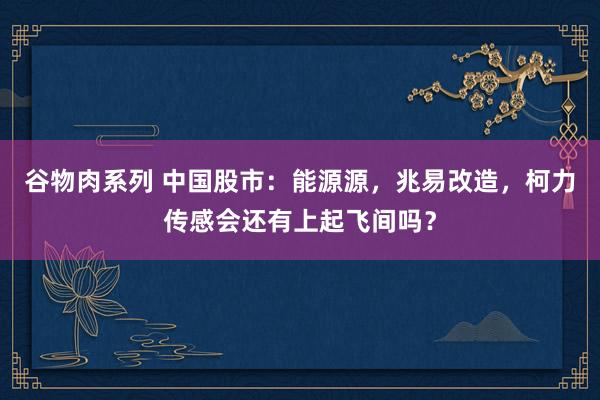 谷物肉系列 中国股市：能源源，兆易改造，柯力传感会还有上起飞间吗？