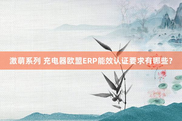 激萌系列 充电器欧盟ERP能效认证要求有哪些？