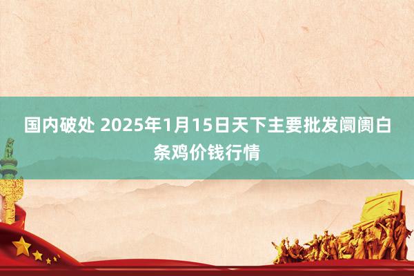 国内破处 2025年1月15日天下主要批发阛阓白条鸡价钱行情