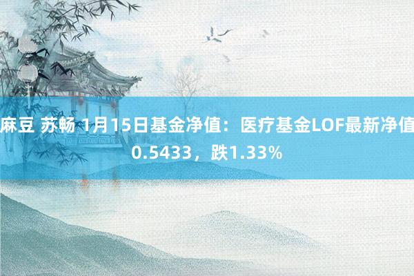 麻豆 苏畅 1月15日基金净值：医疗基金LOF最新净值0.5433，跌1.33%