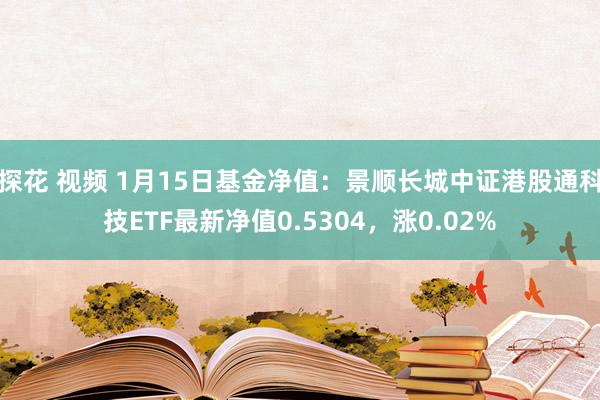 探花 视频 1月15日基金净值：景顺长城中证港股通科技ETF最新净值0.5304，涨0.02%