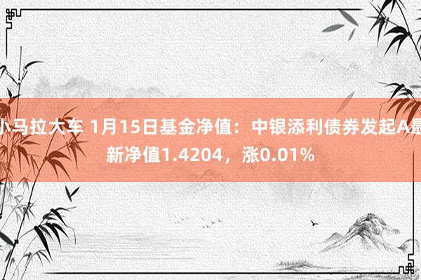 小马拉大车 1月15日基金净值：中银添利债券发起A最新净值1.4204，涨0.01%