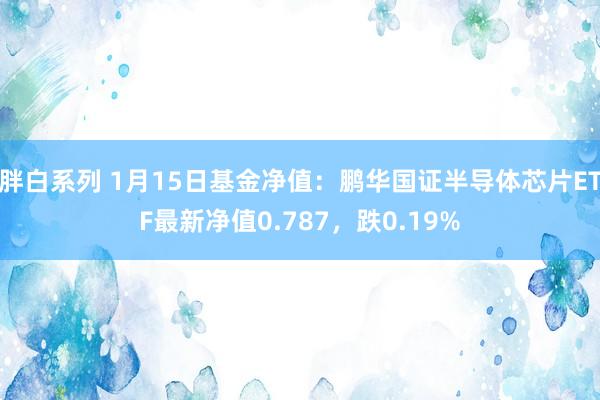 胖白系列 1月15日基金净值：鹏华国证半导体芯片ETF最新净值0.787，跌0.19%