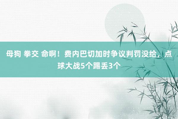 母狗 拳交 命啊！费内巴切加时争议判罚没给，点球大战5个踢丢3个