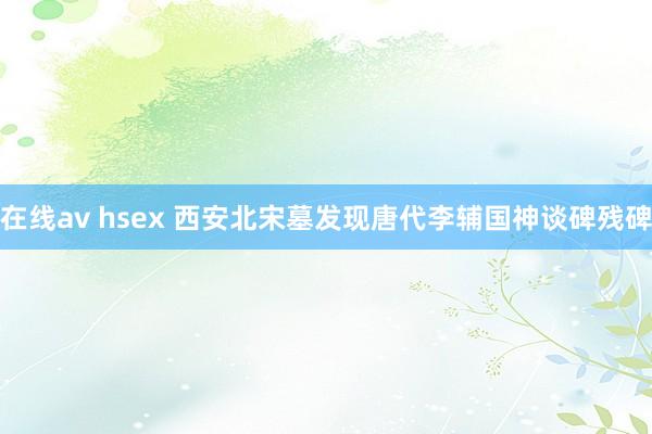 在线av hsex 西安北宋墓发现唐代李辅国神谈碑残碑